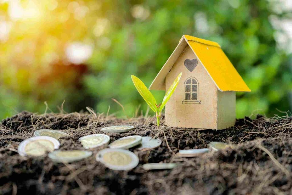 How to Invest in Land With Little Money? Easy and Affordable Tips