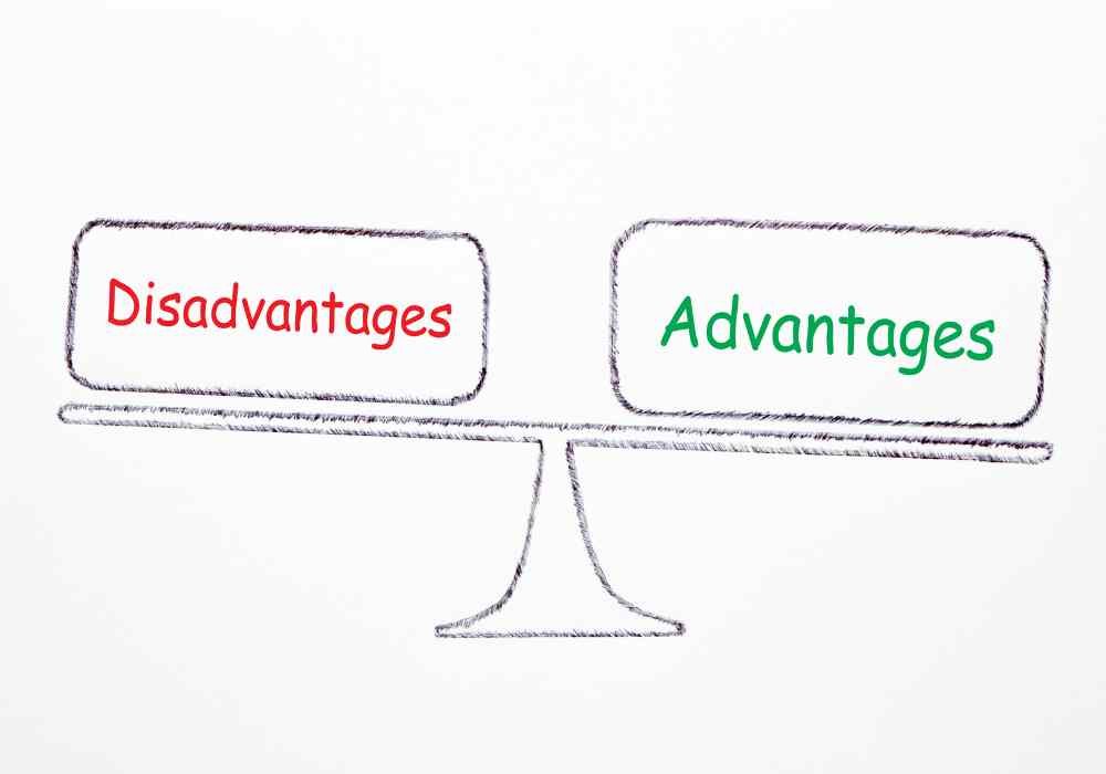 What are the disadvantages of self-storage units?
