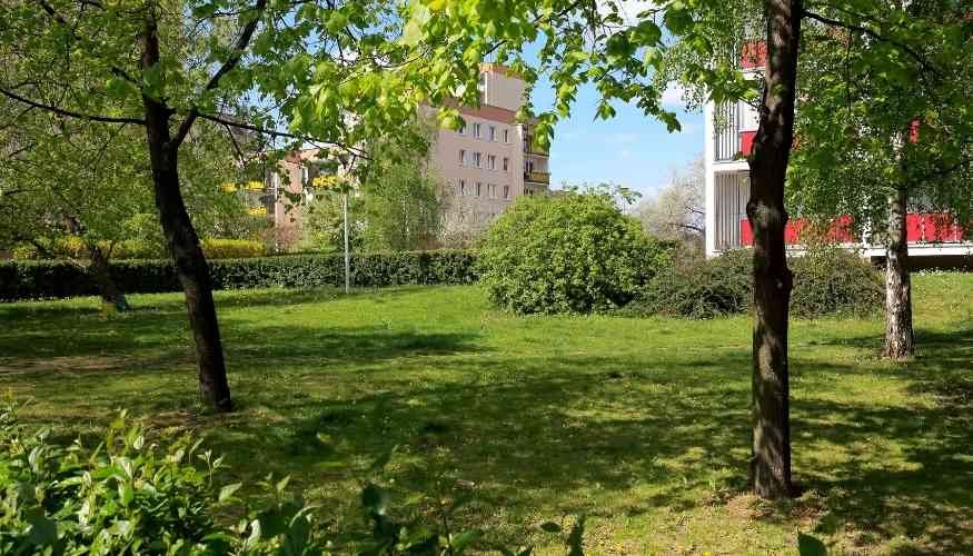 How to Buy a Multifamily Property With Low Income?