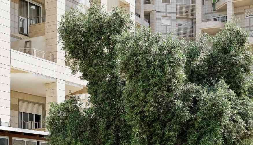 What Is Multifamily?